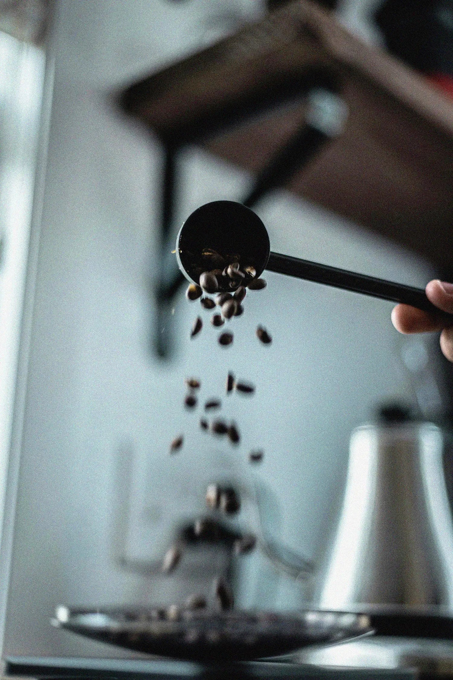 Spoonful of coffee beans being poured over a coffee filter - buy coffee shop equipment from better brands co.