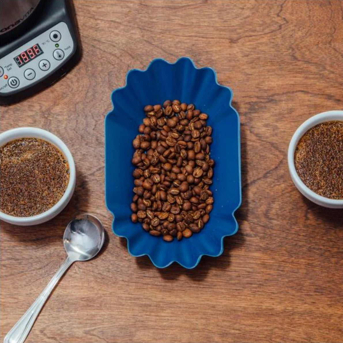 Revolution Oval Bean Trays (12-pack)